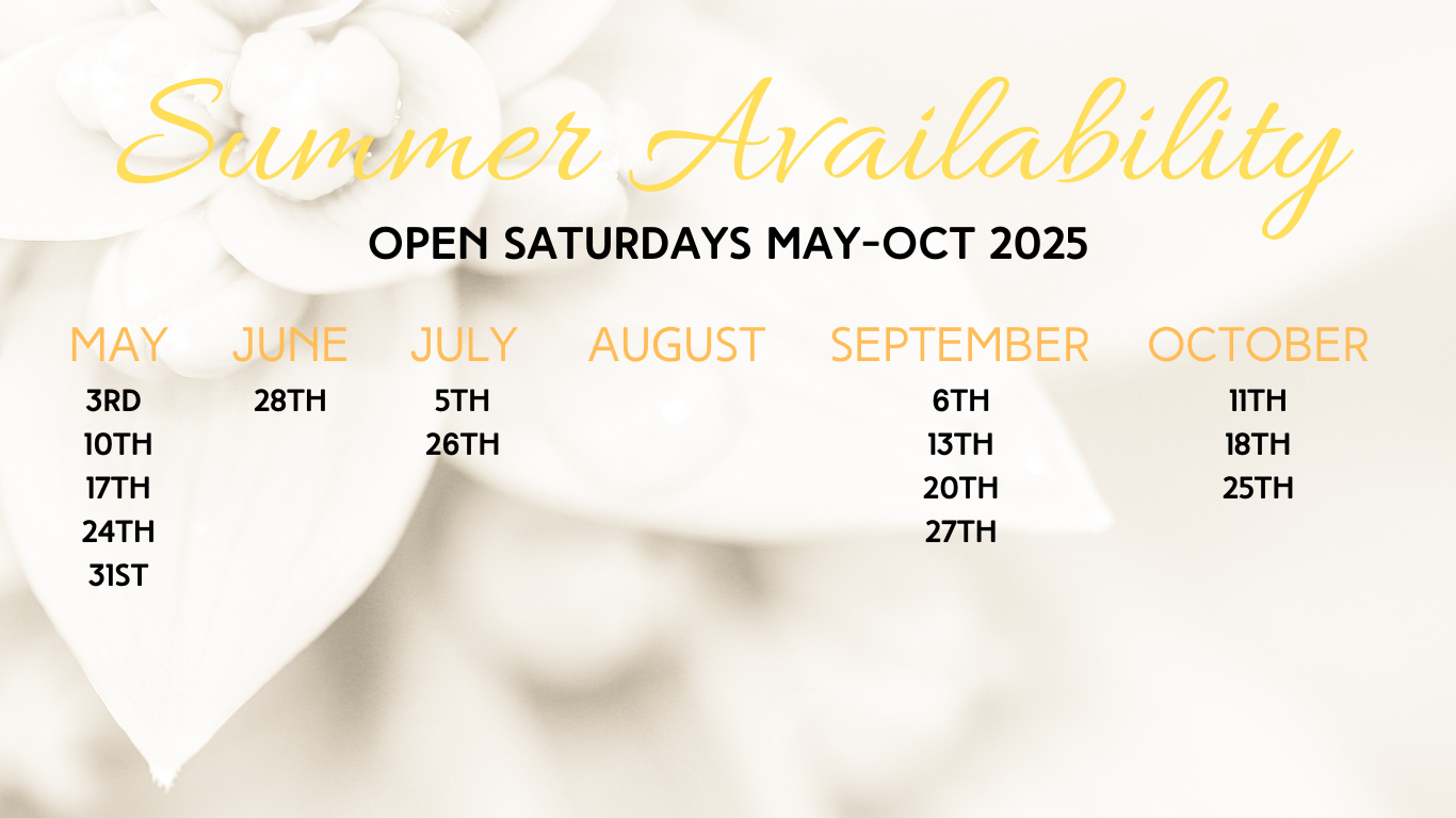 Summer Availability Schedule